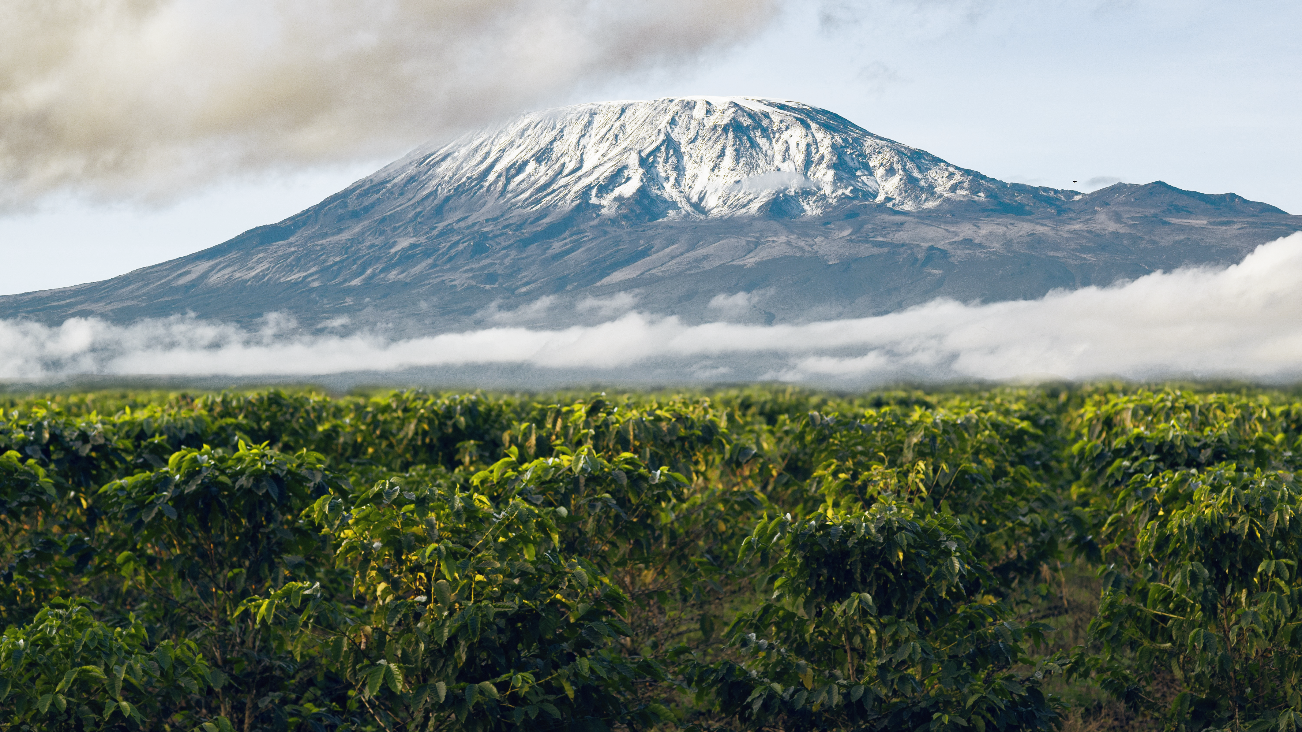 la imagen muestra una montaña nevada de Tanzania